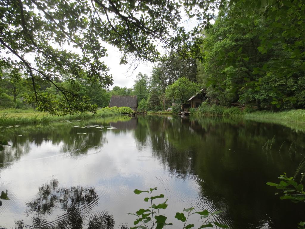 Mizarai Mill House Βίλα Ντρουσκινινκάι Εξωτερικό φωτογραφία